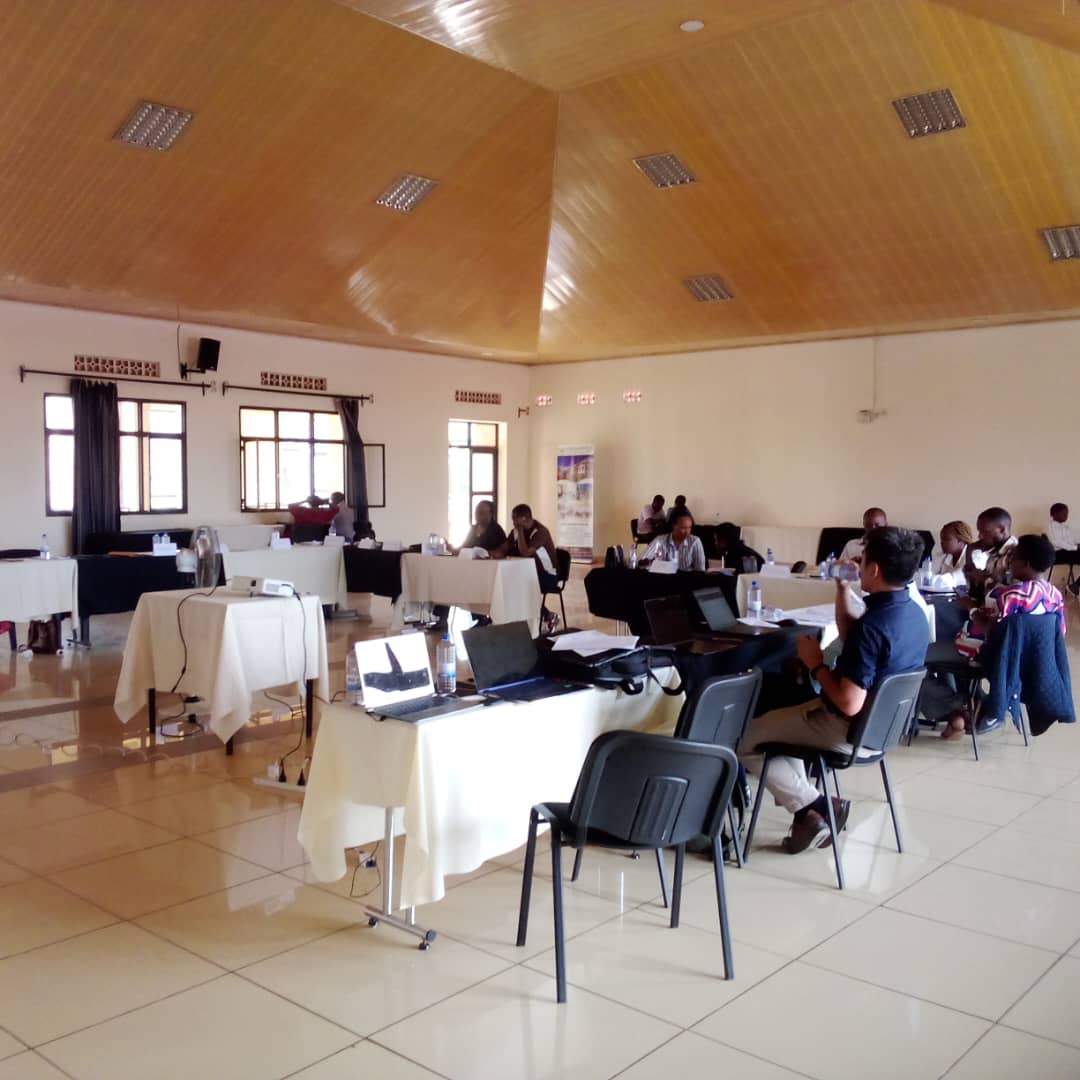 ELCG research activities